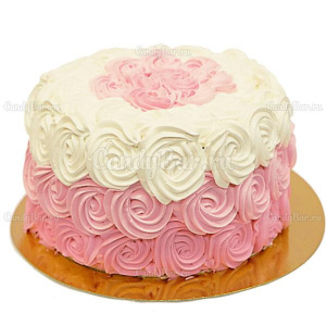 cake38 1