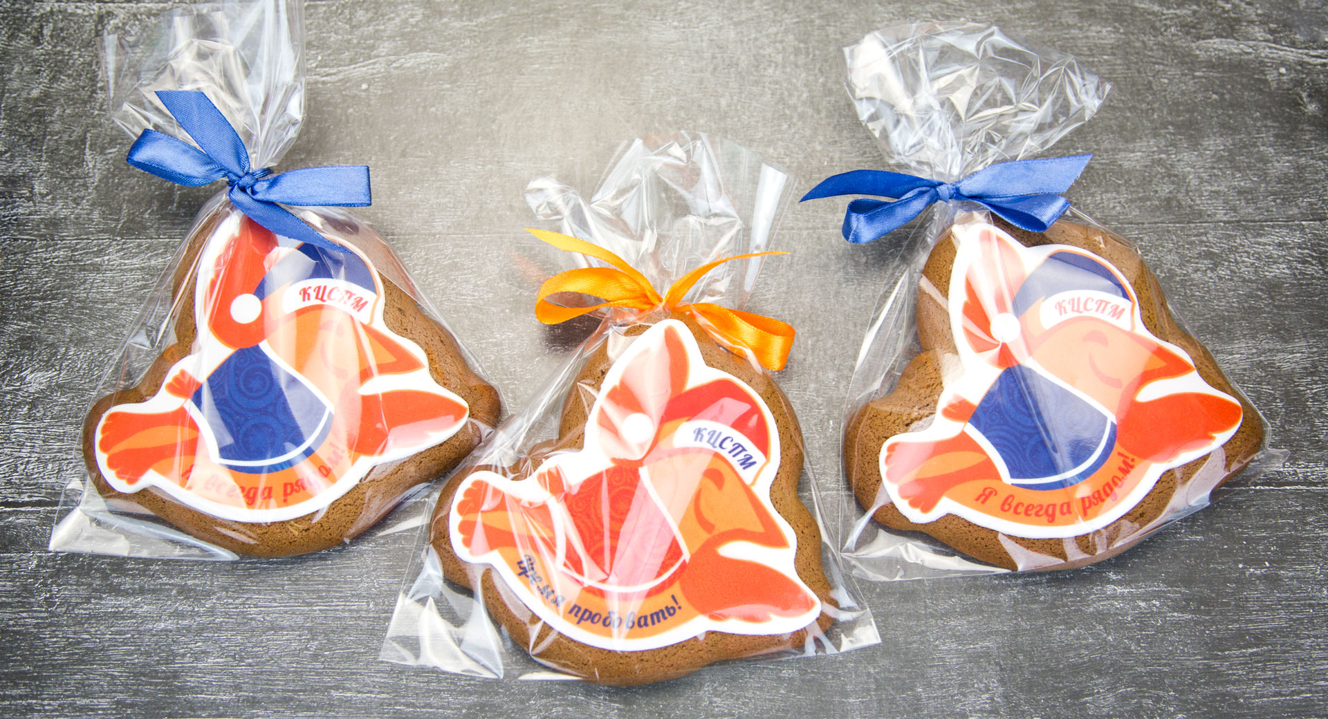 Брендированное печенье для Детского Наукограда в пакетиках с ленточкой